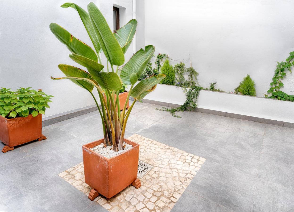 ארקנה Apartamentos Turisticos Isems מראה חיצוני תמונה